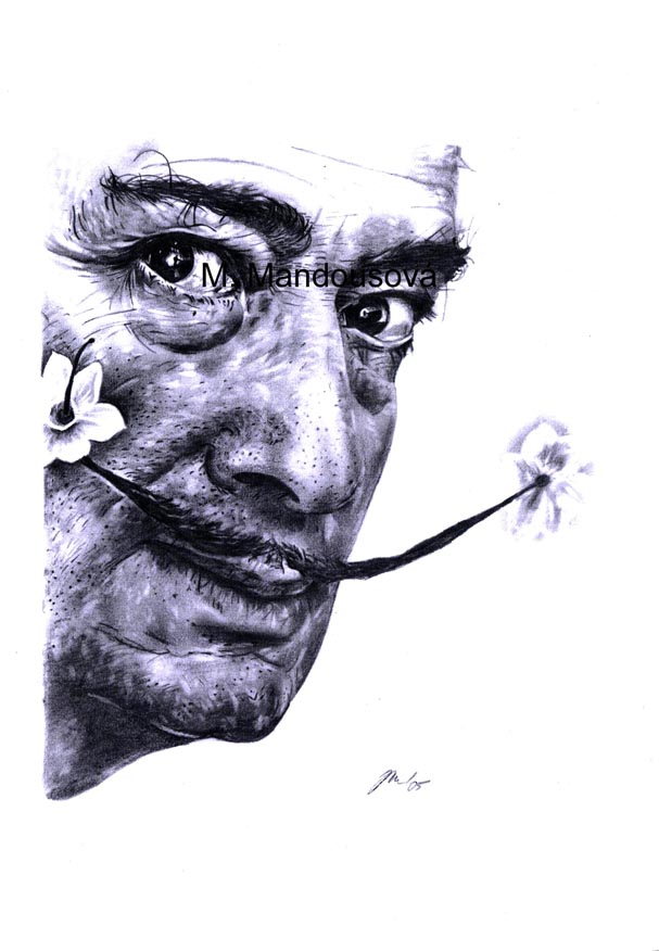 S. Dalí / kresba tužkou, 34 x 32 cm, 2005